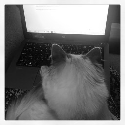 Progress……at last. 2018 starts here!