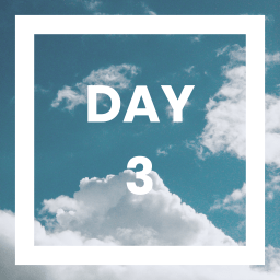 Day 3