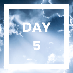 Day 5