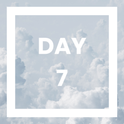 Day 7