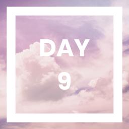 Day 9