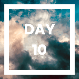 Day 10