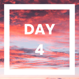 Day 4